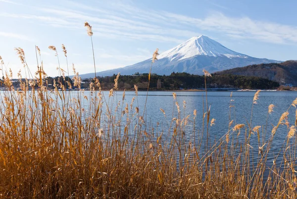 Göl Kawaguchiko Kışın Fuji Dağı — Stok fotoğraf