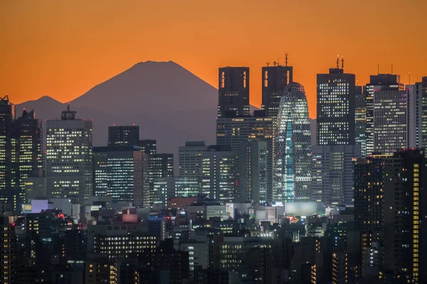 Tokio Nacht Stadtansicht Mit Berg Fuji Auf Dem Hintergrund — Stockfoto