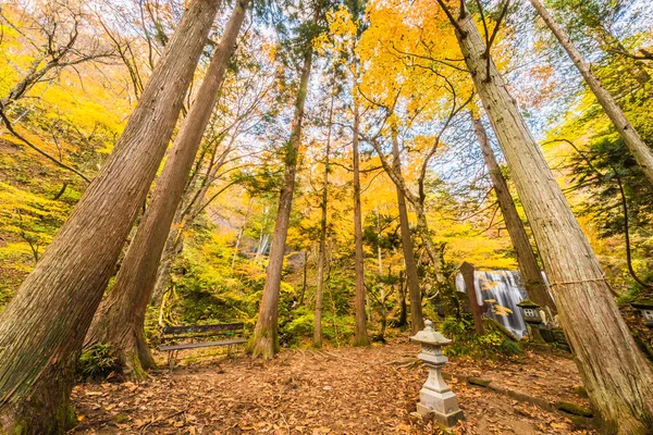 Tatsuzawafudo Cai Fukushima Outono — Fotografia de Stock