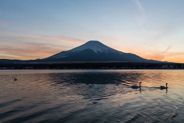 Vue Sur Mont Fuji Lac Yamanakako Soirée Hiver — Photo