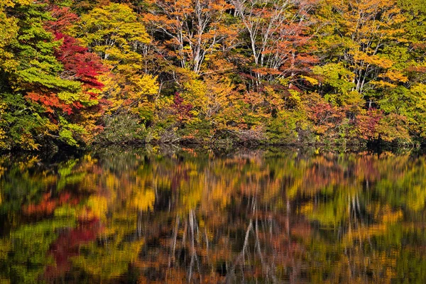 Rybník Shiragome Prefektuře Nagano Podzimní Sezoně — Stock fotografie