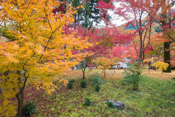 Färgglada Japanska Trädgården Höstsäsongen — Stockfoto