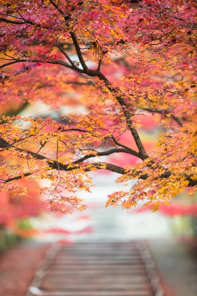 Templo Bishamondo Kyoto Temporada Outono — Fotografia de Stock