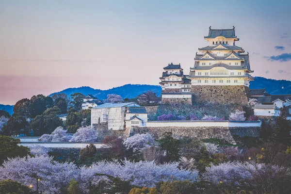 樱花樱花与日本姬路城堡 — 图库照片