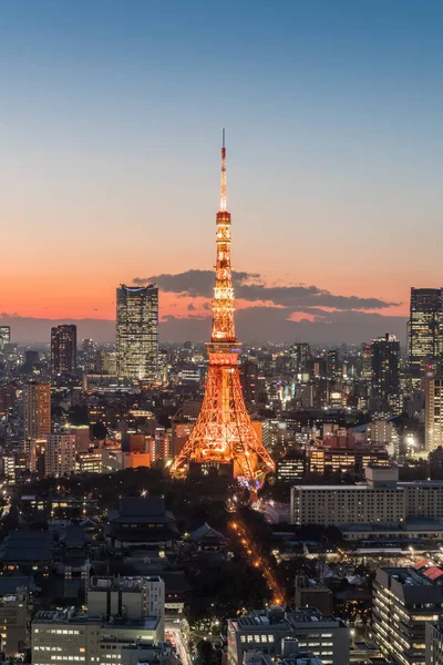 鸟瞰东京城市与灯火通明的塔在夜间 — 图库照片