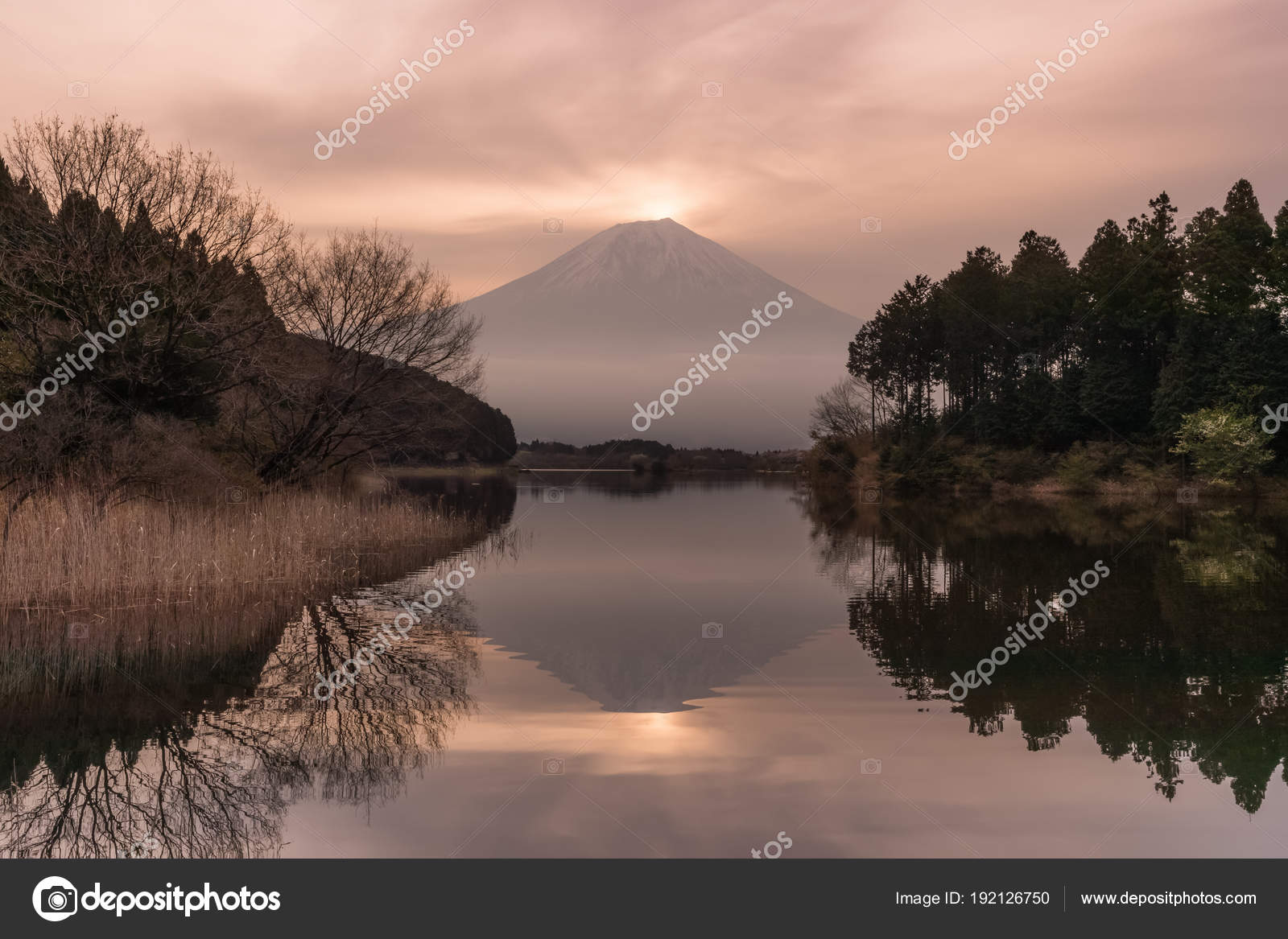 田貫湖と日の出背景の山富士 ストック写真 C Torsakarin