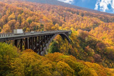 Jogakura Köprüsü'nde Aomori bölgesi sonbahar