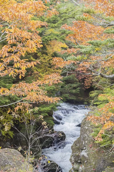 Вид Водопад Рюзу Национальном Парке Никко Осенью — стоковое фото