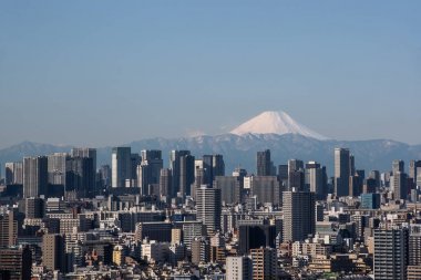Tokyo şehir bina ve Tokyo tower landmark ile dağ Fuji, Japonya.