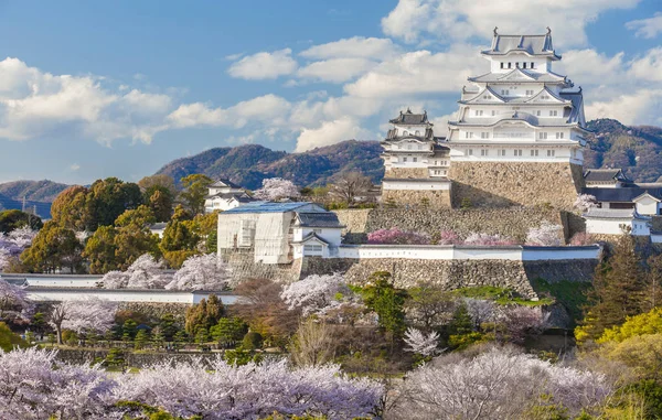 Castillo Himeji Japonés Castillo Garza Blanca Sakura Temporada Flores Cerezo — Foto de Stock