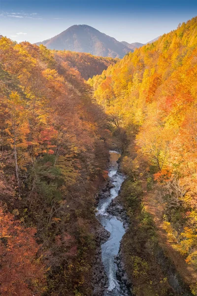 Ущелье Накацугава Фукусиме Осенью Япония — стоковое фото