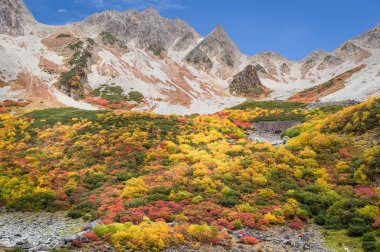 Kamokochi Karasawa Nagano, Japonya, sonbahar renkleri.