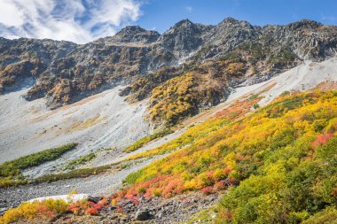 Kamokochi Karasawa Nagano, Japonya, sonbahar renkleri.