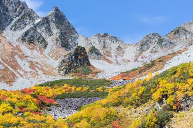 Kamokochi Karasawa Nagano, Japonya, sonbahar renkleri.