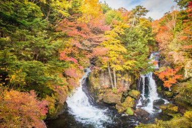 Nikko Milli Parkı Ryuzu sonbahar sonbahar sezonu, Japonya görünümünü.