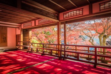 Kyoto Yokokuji tapınakta Sonbahar sezonu