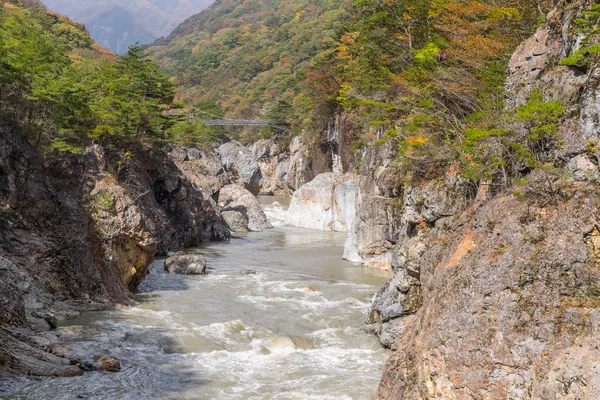 Ryuou Valley Córrego Rio Kinugawa Nikko Outono Japão — Fotografia de Stock