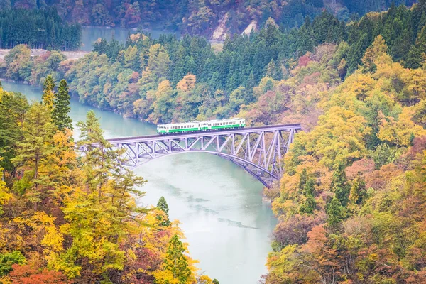 ローカル鉄道只見線 只見川 日本します — ストック写真
