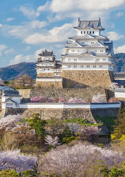 Castillo Garza Blanca Sakura Temporada Flores Cerezo Japón — Foto de Stock