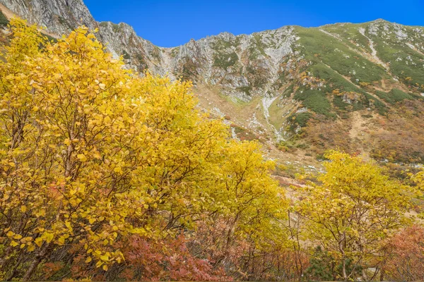 Autumn Colours Kamokochi Karasawa Nagano Japan — Stock Photo, Image