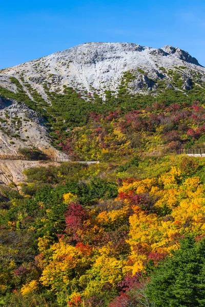 Parque Nacional Nikko Outono Japão — Fotografia de Stock