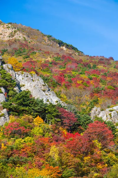 Parque Nacional Nikko Otoño Japón — Foto de Stock