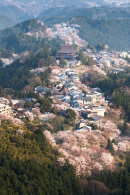 Evleri ile çevrili, sakura ağaçlar çiçek Dağı Yoshino Nara Prefecture, Japonya