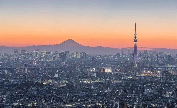 view of Tokyo Sky tree landmark with downtown buildings and Mountain Fuji in winter season