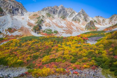 Sonbahar renk Kamokochi Karasawa Nagano, Japonya