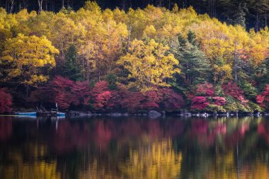 Nagano bölgesi sonbahar gölette Shiragome 