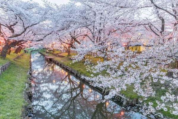 Japon Sakura Kiraz Çiçeği Bahar Sezonu Küçük Kanal — Stok fotoğraf