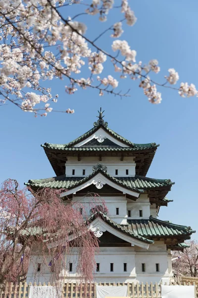 Замок Хиросаки Цветущая Сакура Весной — стоковое фото