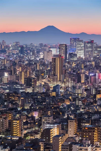 Tokyo Gece Şehir Dağ Fuji Ile Görüntüleyin Fuji Dağı Nın — Stok fotoğraf