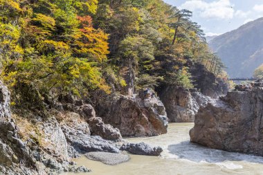 Ryuou Valley, Nikko Güz, Kinugawa Nehri'nin akış