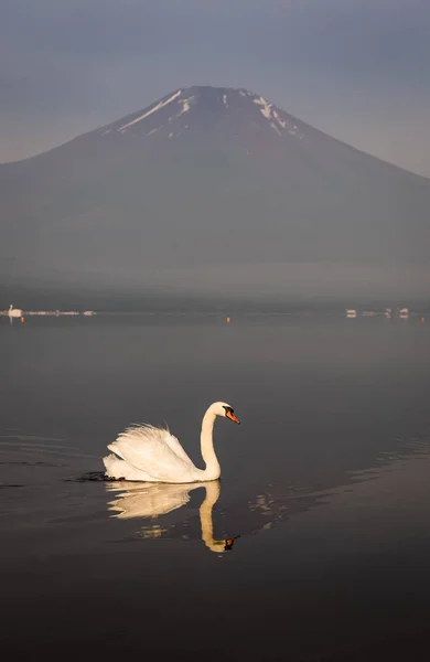 以反射在湖 Yamanakako 在早上山富士 — 图库照片