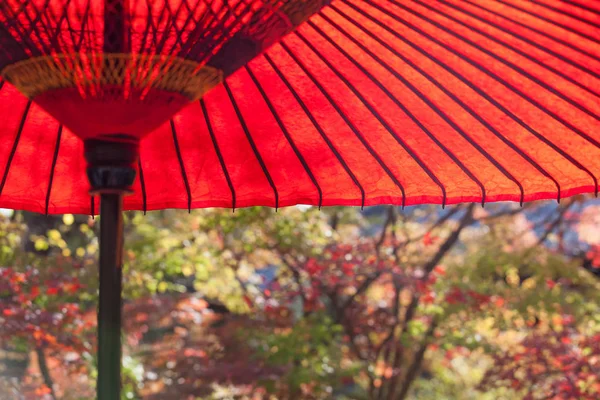 在金秋时节的日本花园日本红 Umbellra — 图库照片