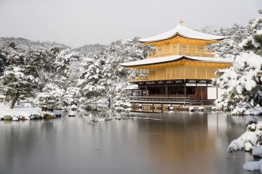 Zen Tapınağı Kinkakuji kar ile sonbahar kış 2017