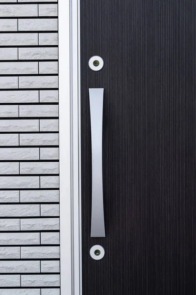 Modern door handle and wood door