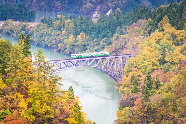 Ligne Tadami Mishima Fukushima Automne — Photo