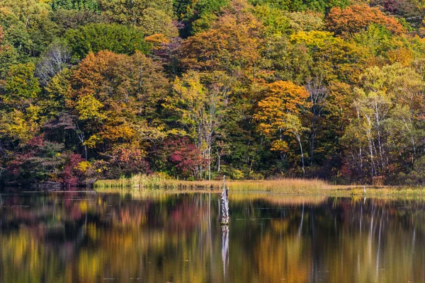 Rybník Shiragome Prefektuře Nagano Podzim — Stock fotografie