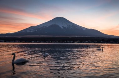 Kış akşamları görünümü Fuji Dağı ve Gölü Yamanakako. Lake Yamanakako Fuji beş göller büyük.