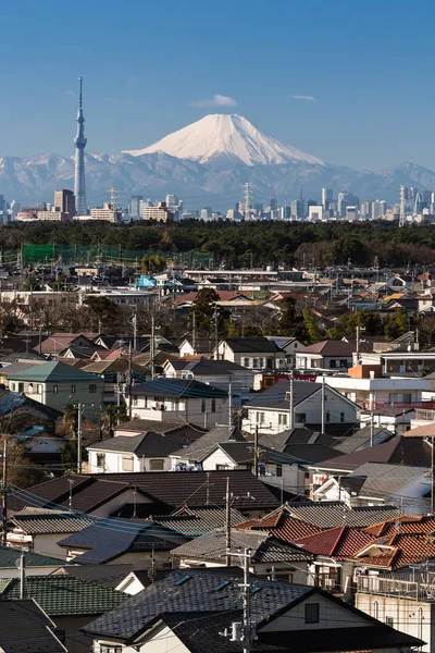 Tokyo city view, Tokyo sky tree with Tokyo downtown building and Winter Mountain fuji in background