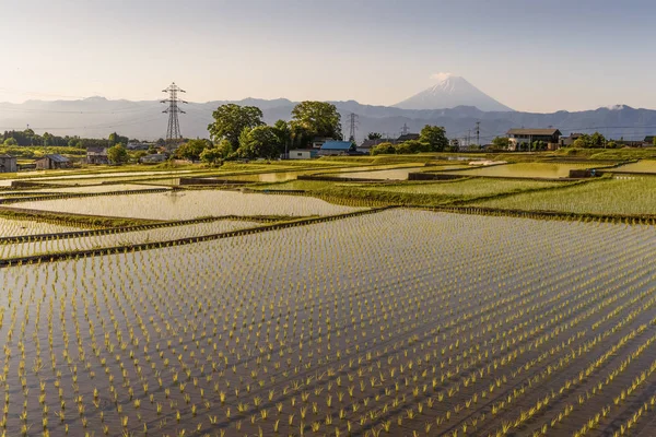 Japón Terraza Arroz Montaña Fuji Por Mañana Minami Alpes Nakano —  Fotos de Stock