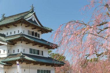 Hirosaki Kalesi ve Sakura kiraz çiçeği ağaç bahar.