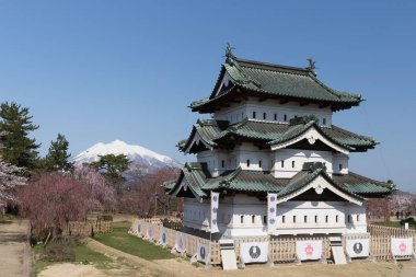 Hirosaki Kalesi ve Sakura kiraz çiçeği ağaç bahar.