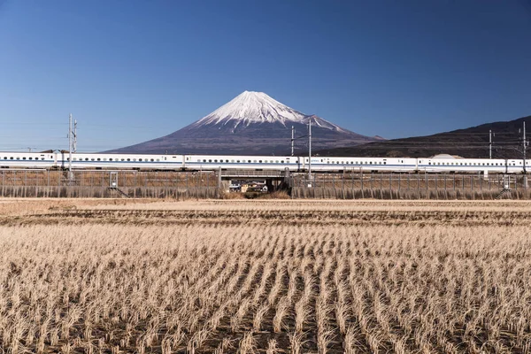 Tokaido Shinkansen Och Berget Fuji — Stockfoto