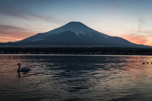 View of Mount Fuji and Lake Yamanakako in winter evening.