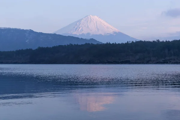 Montaña Fuji Saiko Lago Temporada Primavera — Foto de Stock