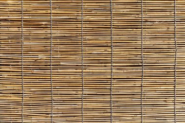 Bambu dokuyu ve arkaplanı kör eder