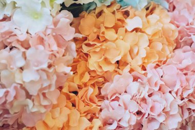 Güzel Soyut Yaz Çağdaş Ev Arkaplanı Çiçekli Pastel